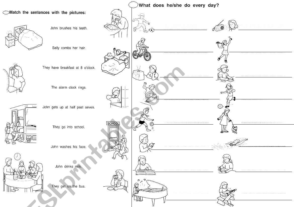 Daily routines worksheet