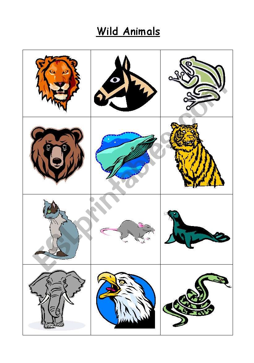 Matching game _ Wild animals worksheet