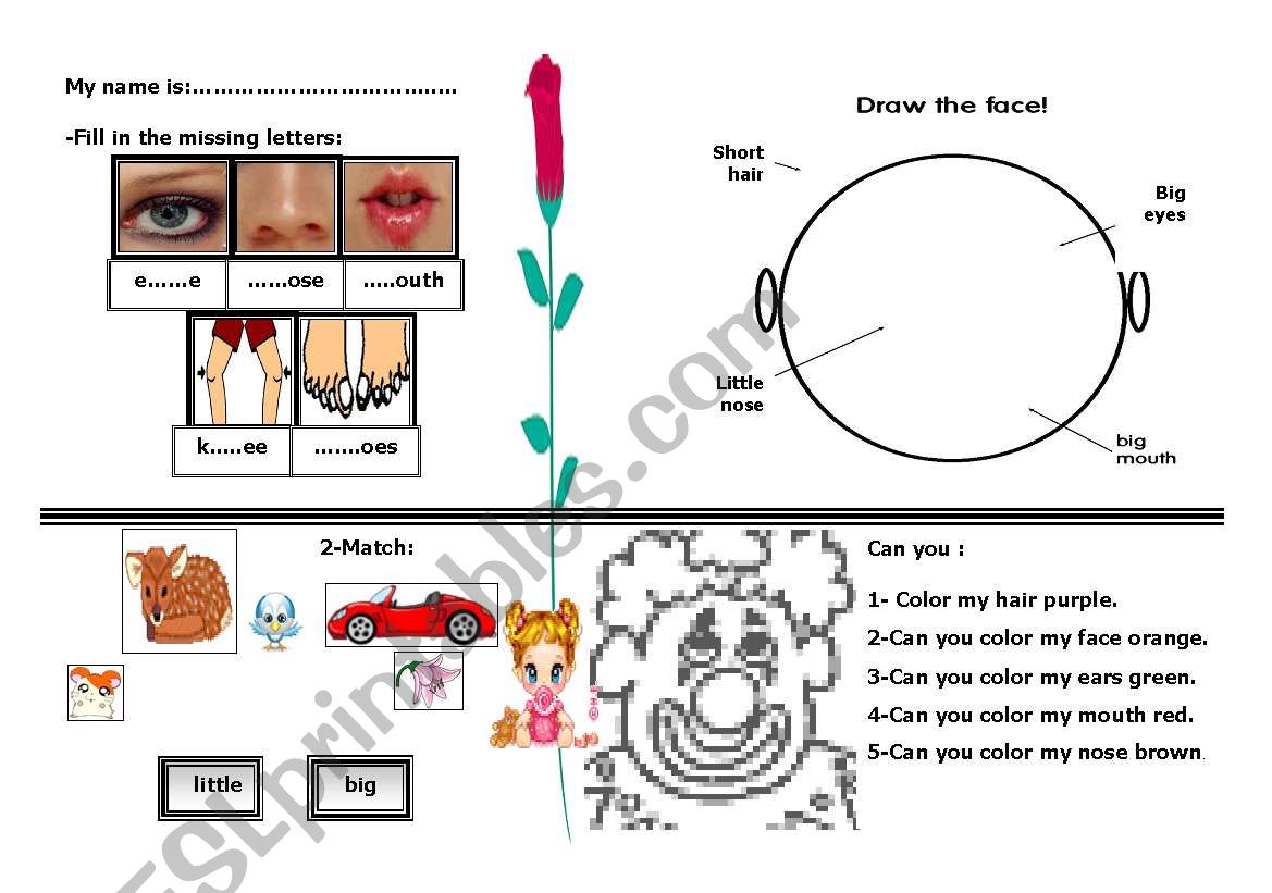 my body  worksheet