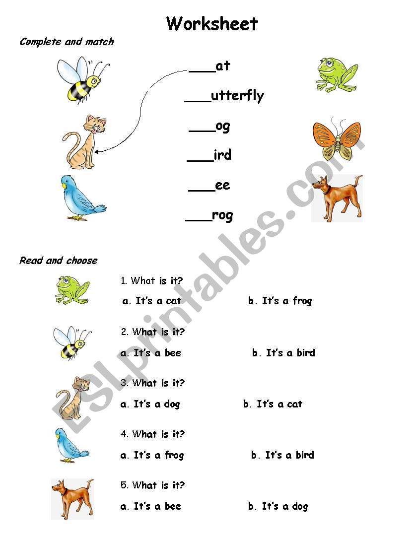 animals review ( treetops 1 ) worksheet