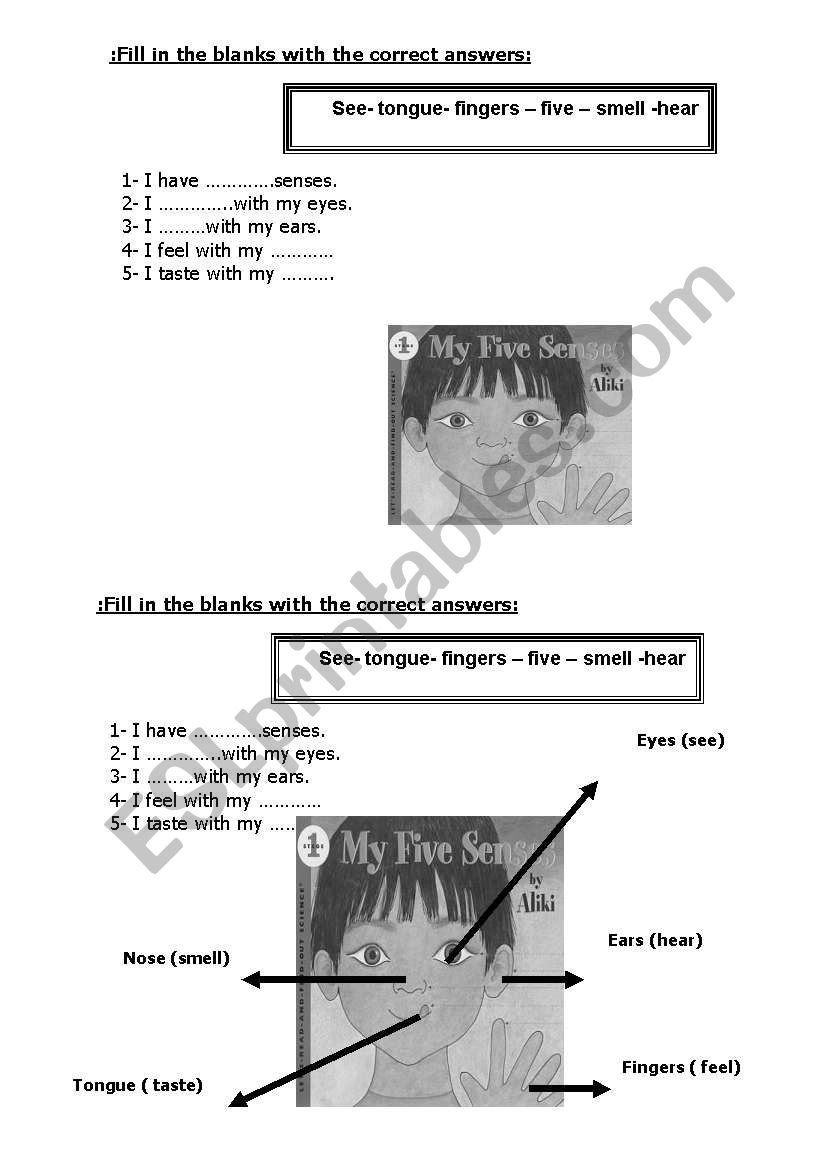 five senses worksheet