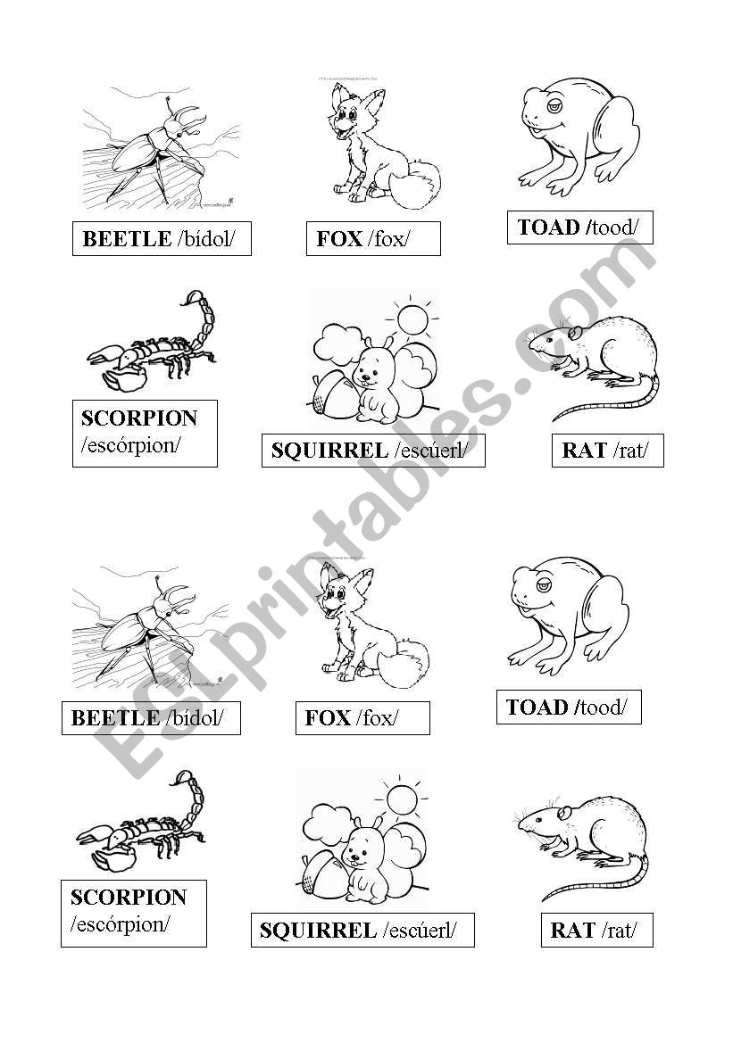 Animals worksheet