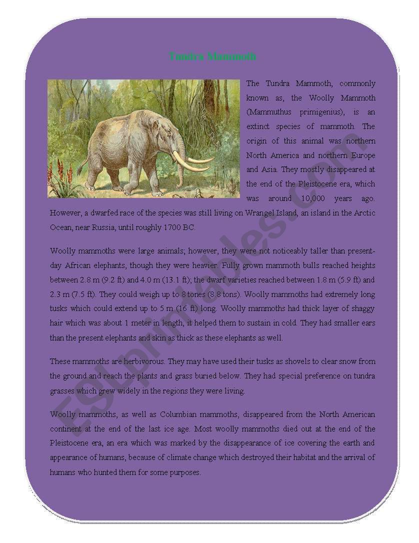 Extinct Animal Part 4 ( Tundra Mammoth)