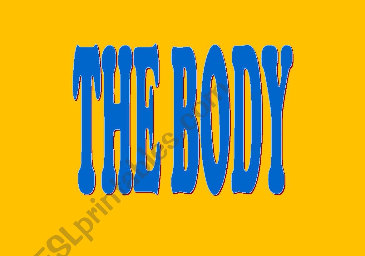 the body worksheet