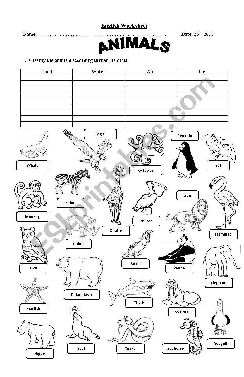 Classify The Animals Esl Worksheet By Kornzaru