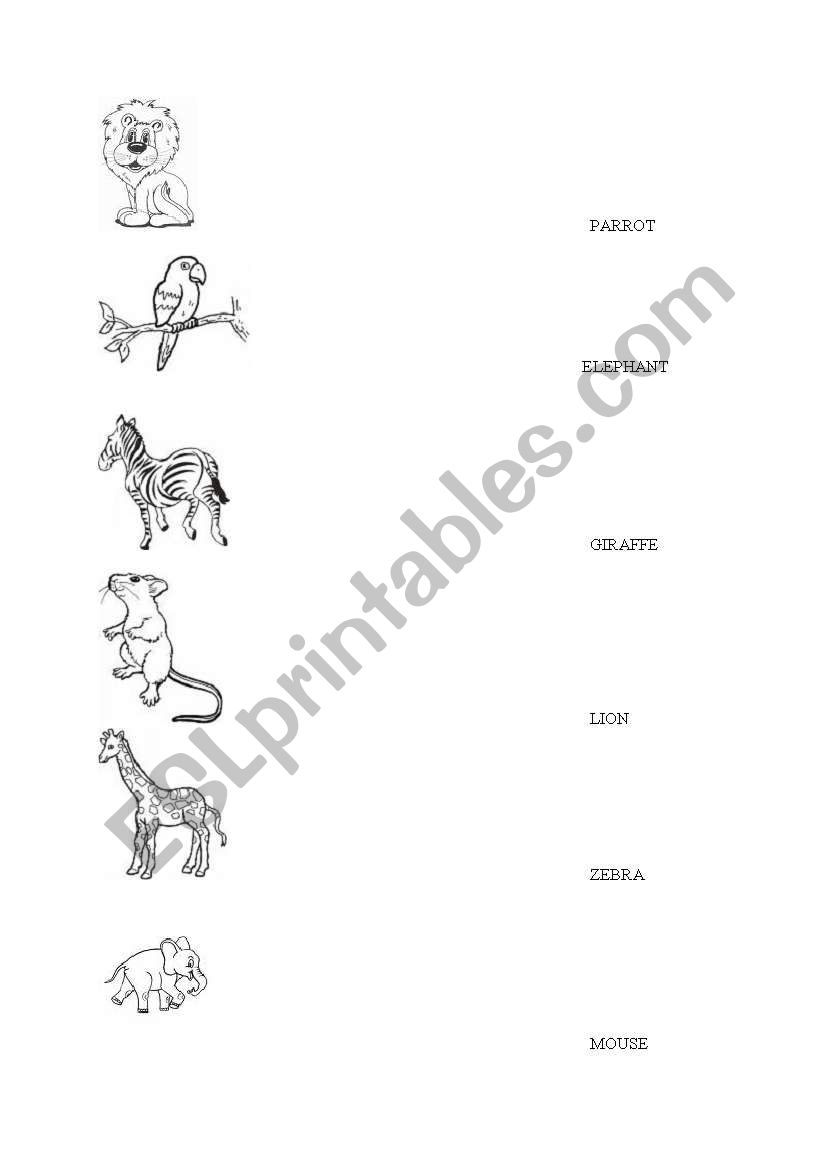 animals worksheet