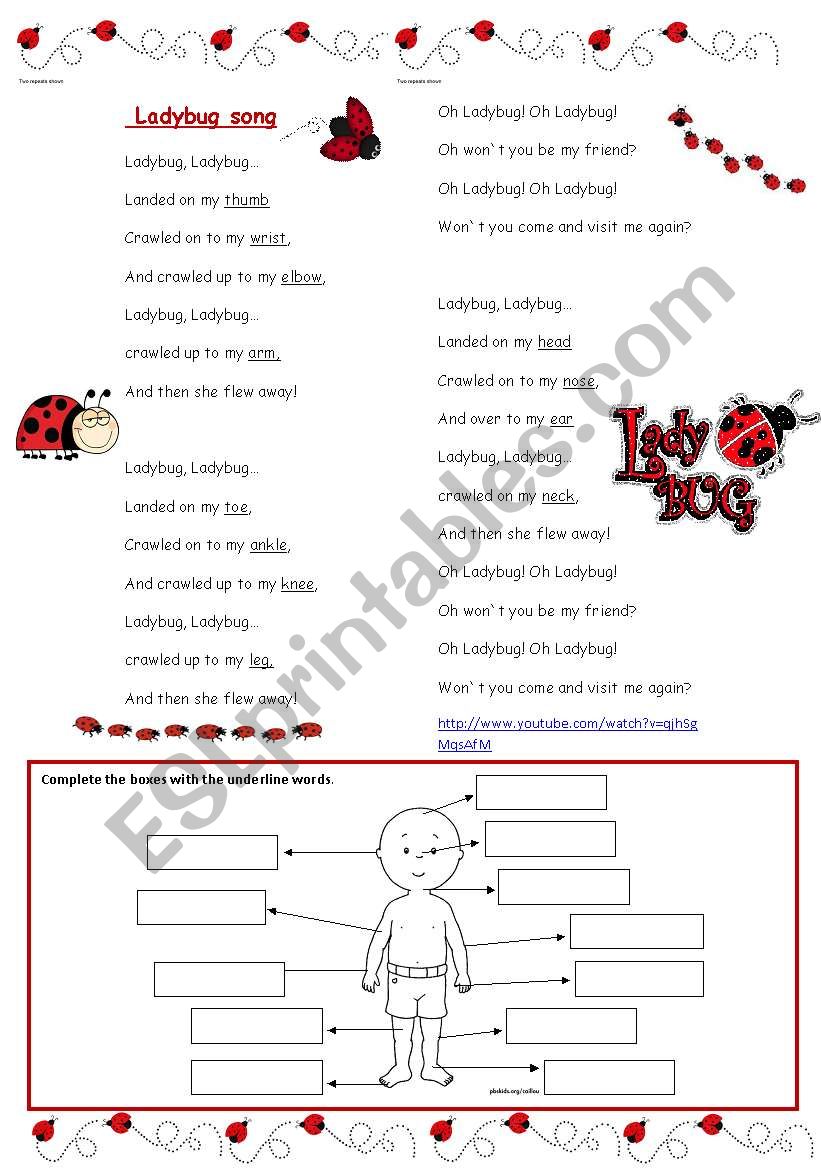 Ladybug song worksheet