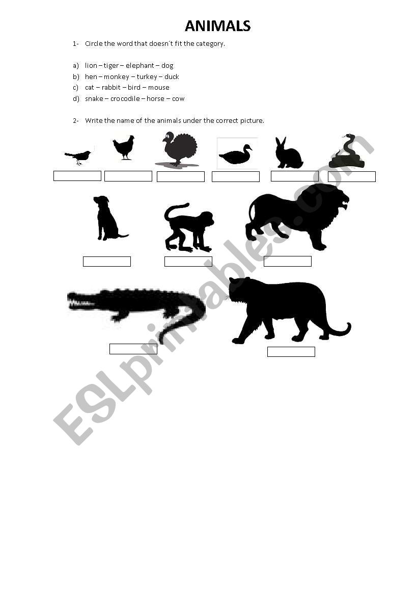 animals worksheet