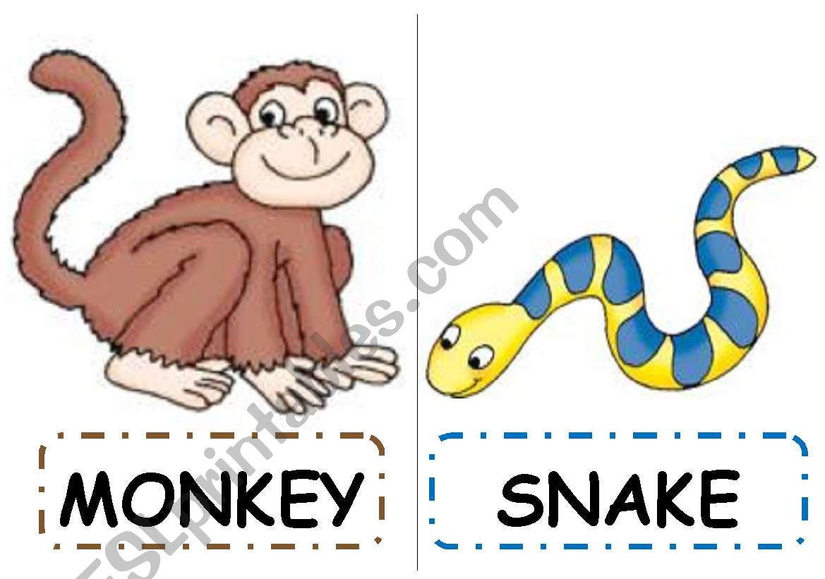 SAFARI ANIMALS worksheet