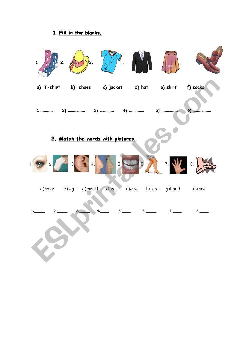 body parts and clothes worksheet