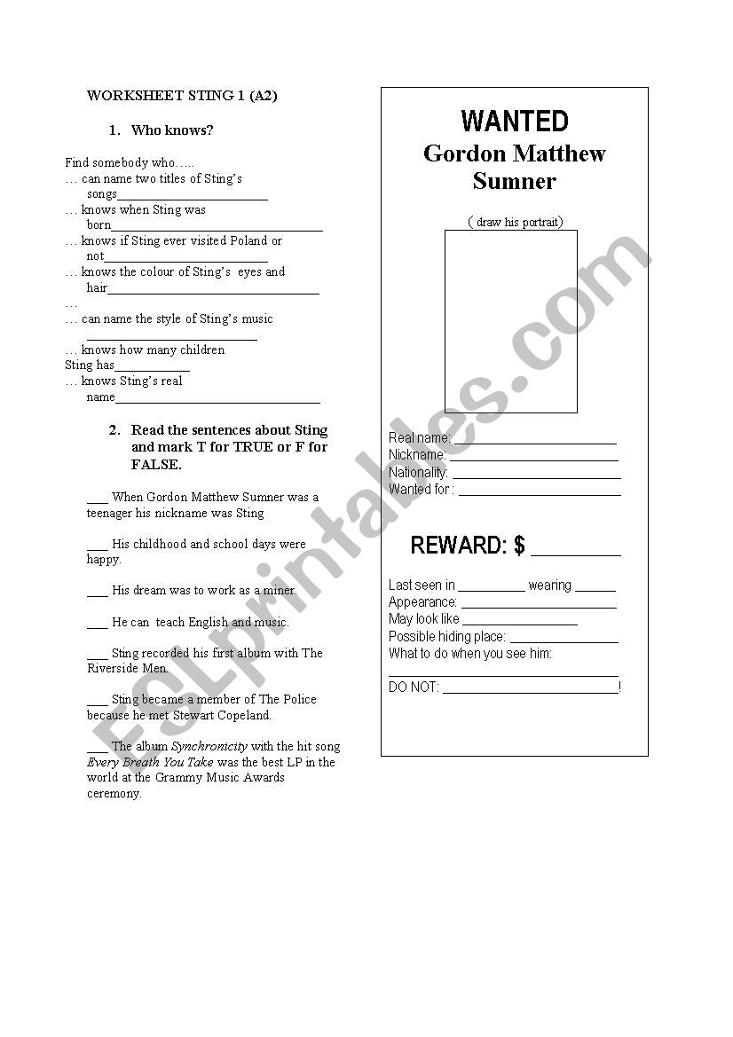 Sting singer worksheet worksheet