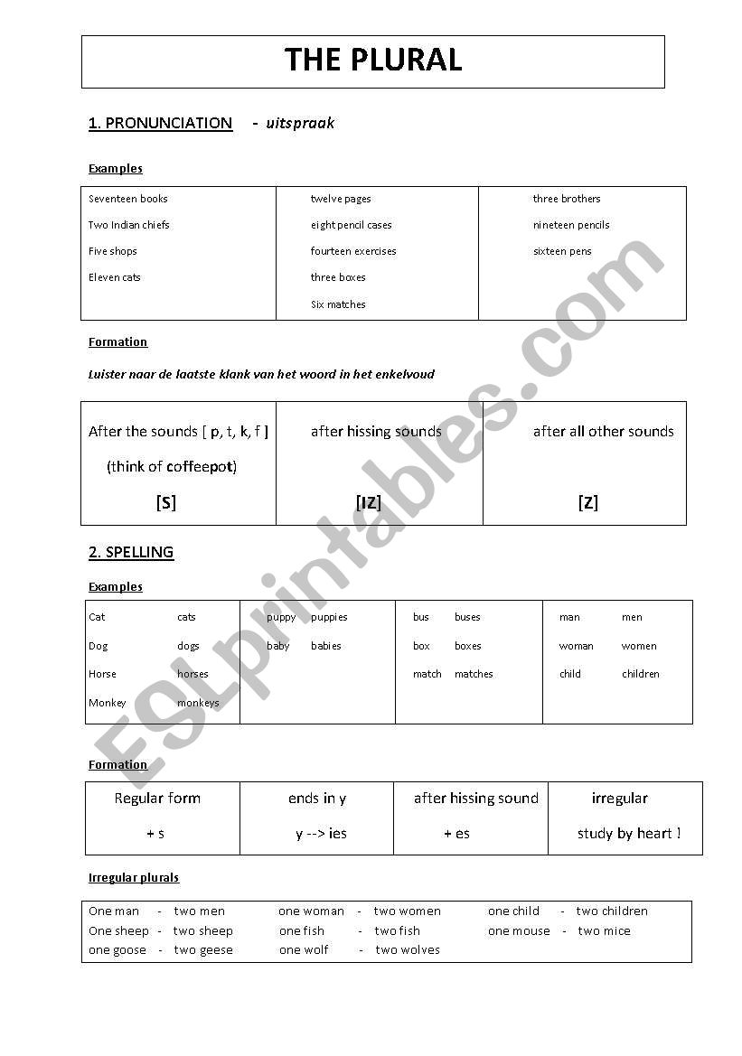 plural worksheet