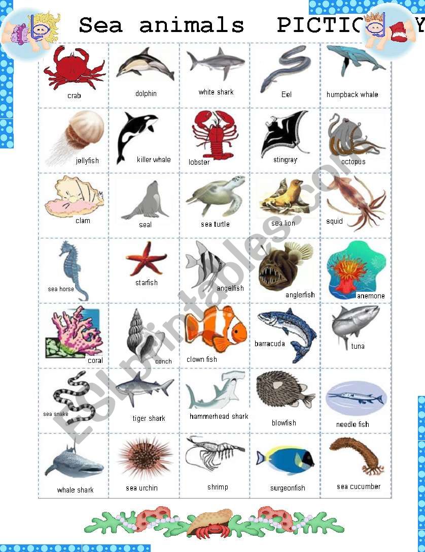 Sea Animals Pictionary worksheet