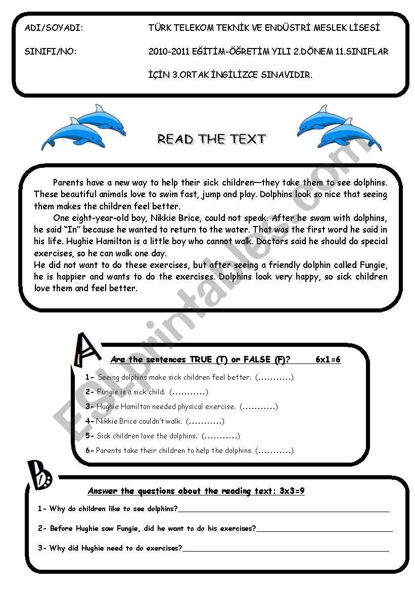 exam for 11th grades worksheet
