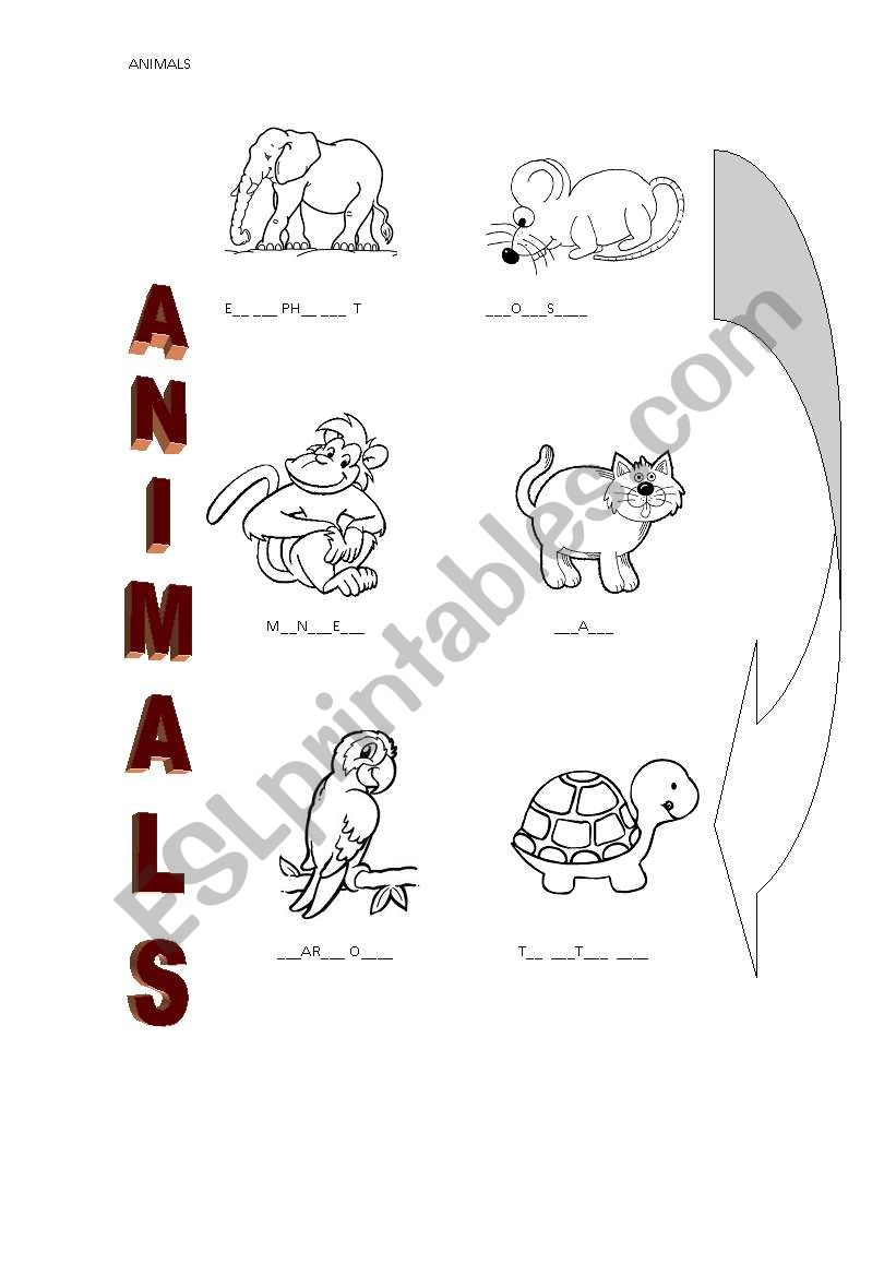 ANIMALS worksheet