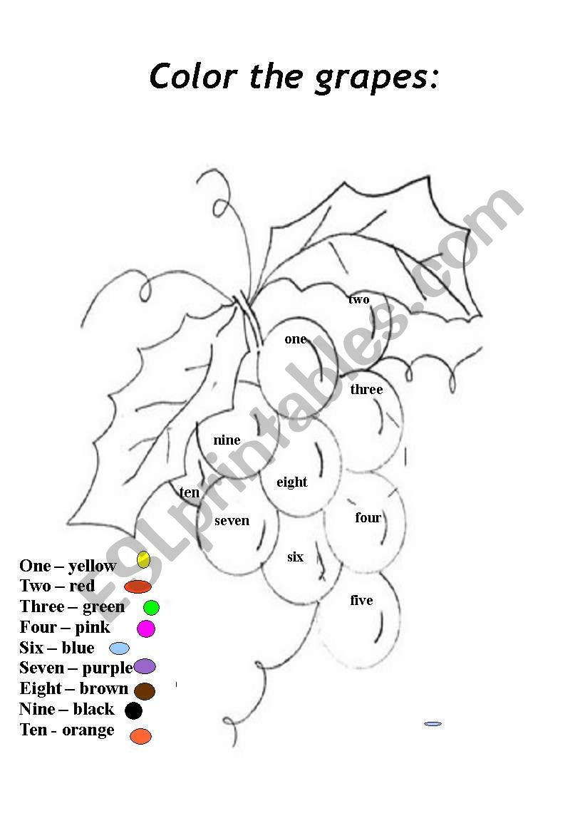 COLOR THE GRAPES worksheet