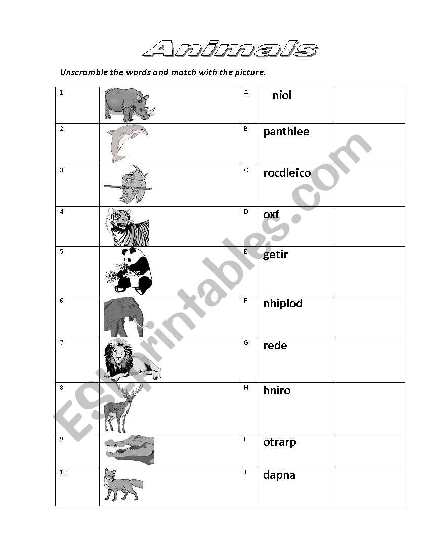 animals worksheet