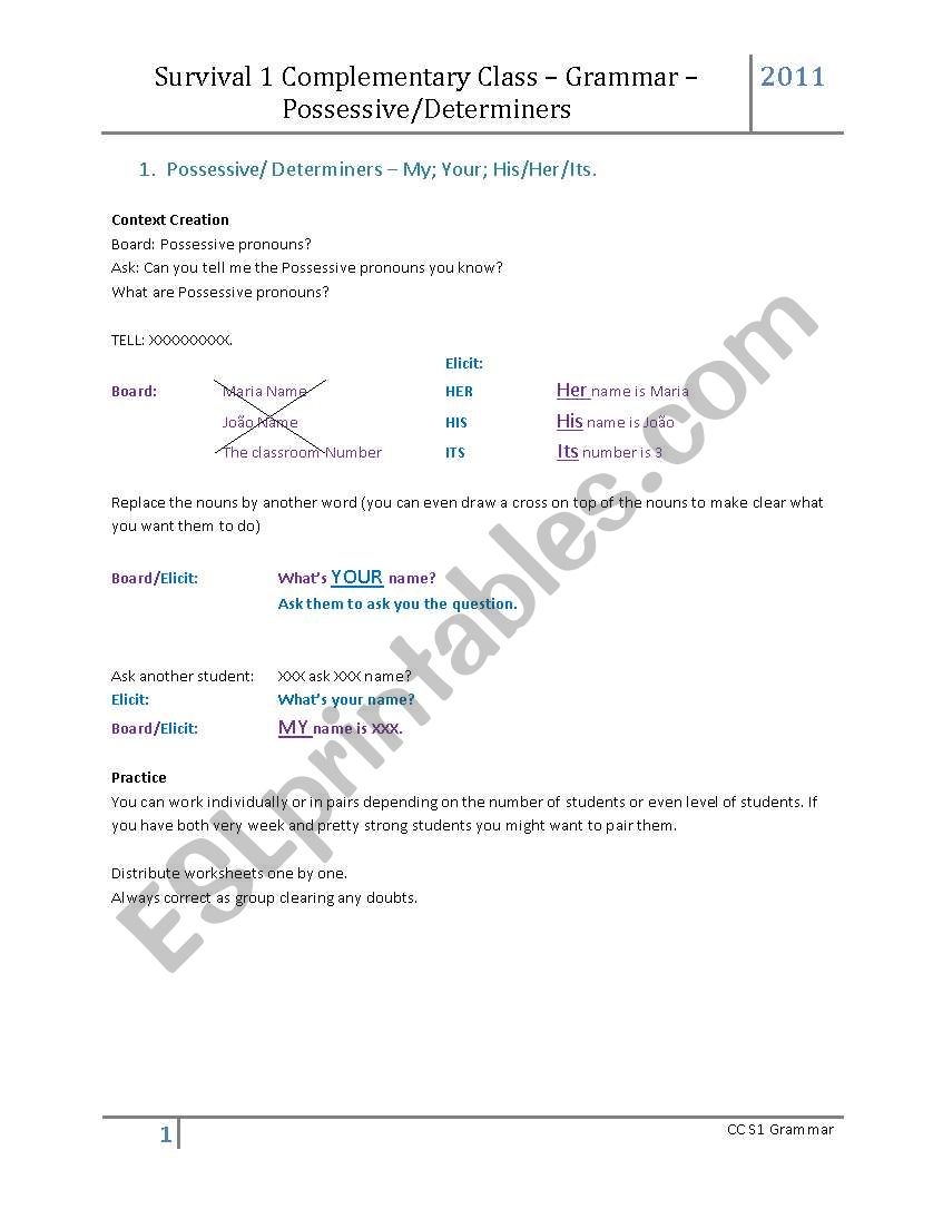 Possessive Determiners worksheet