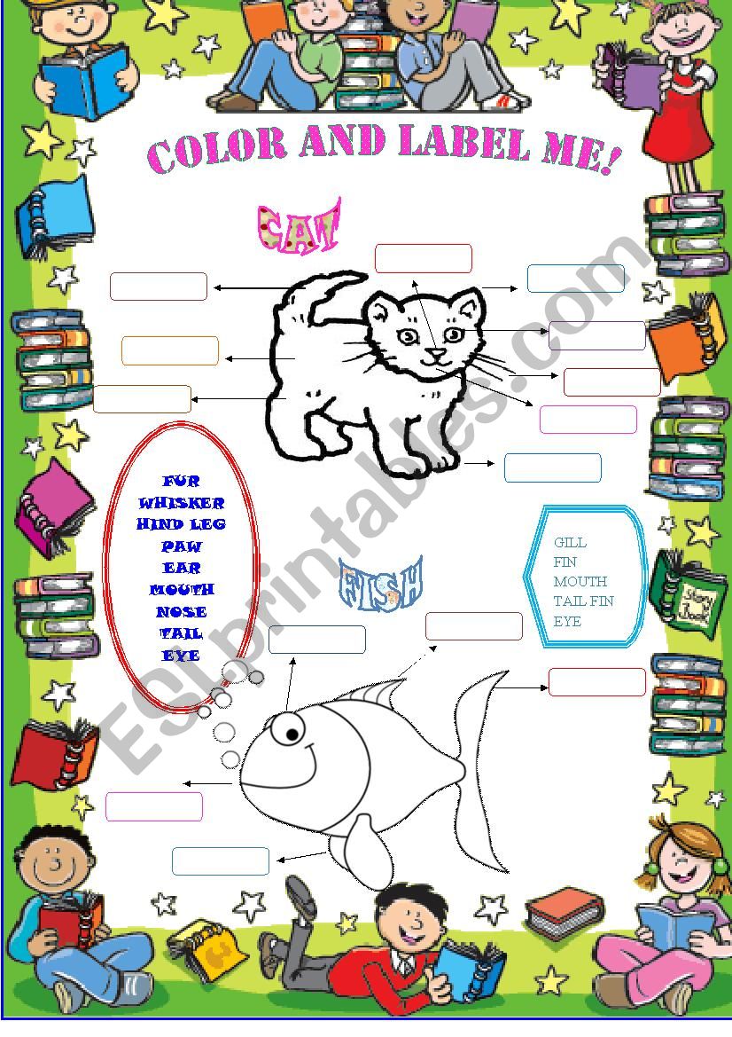 Cat and Fish Body Parts worksheet
