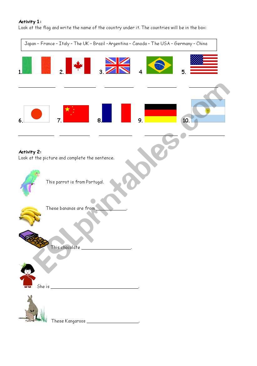 COUNTRIES AND FLAGS worksheet