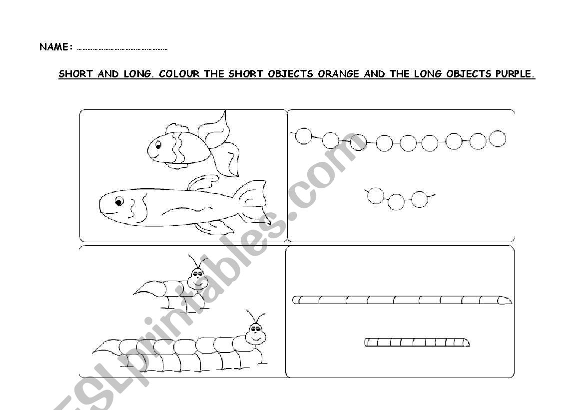 Long and short worksheet