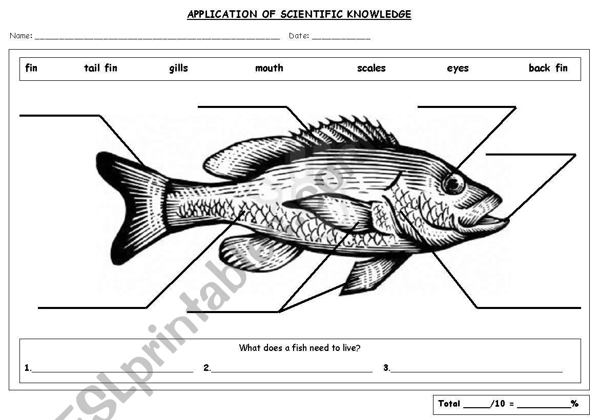 fish-parts-labeling-esl-worksheet-by-cobbs