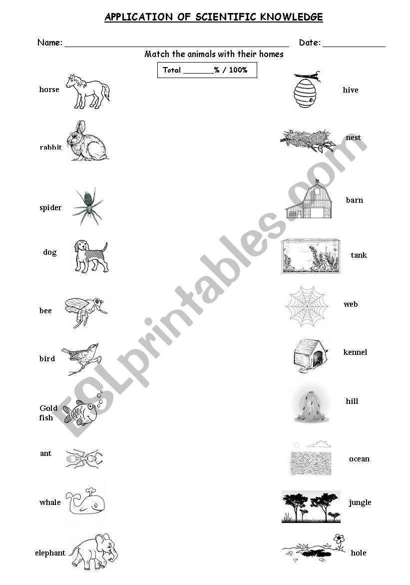 Animal Homes worksheet