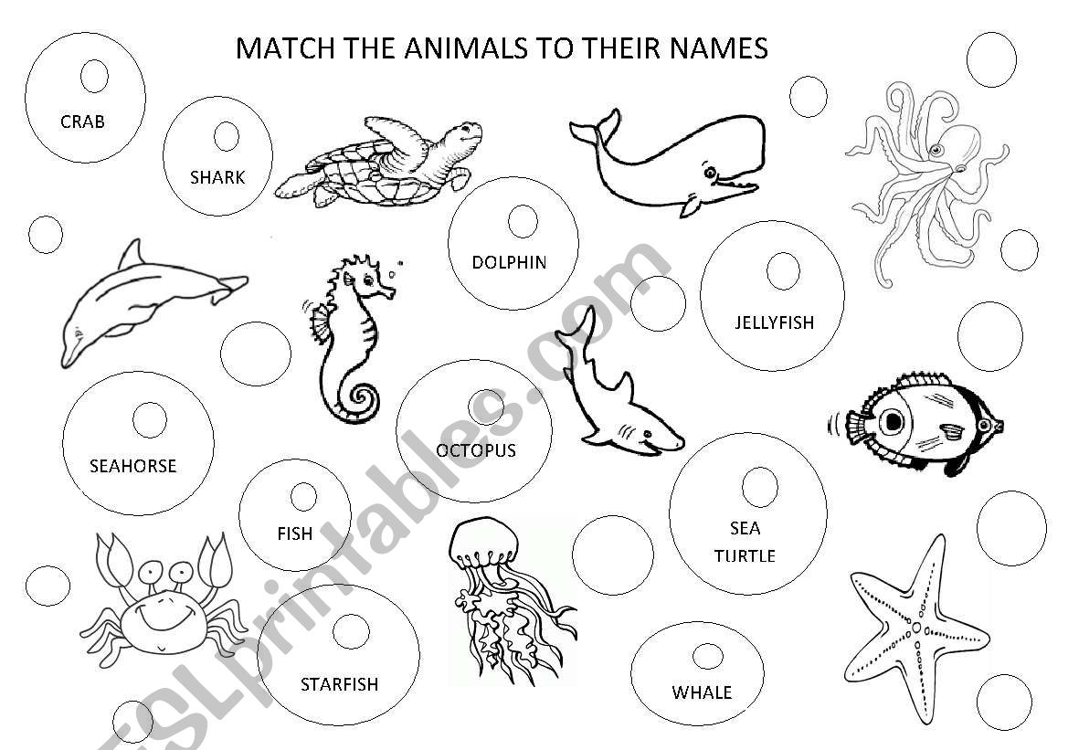 OCEAN ANIMAL NAMES worksheet