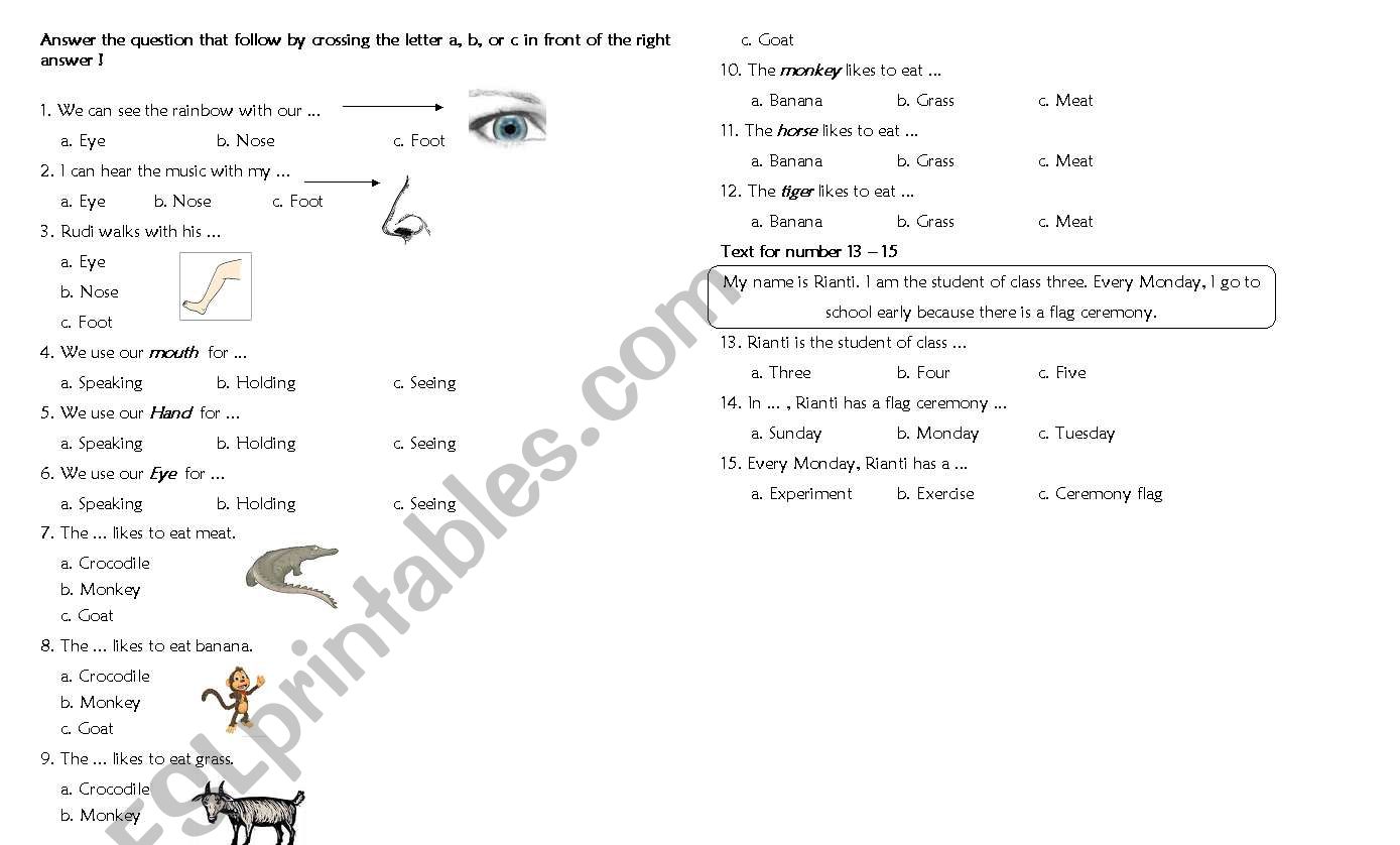 animals and parts of body worksheet