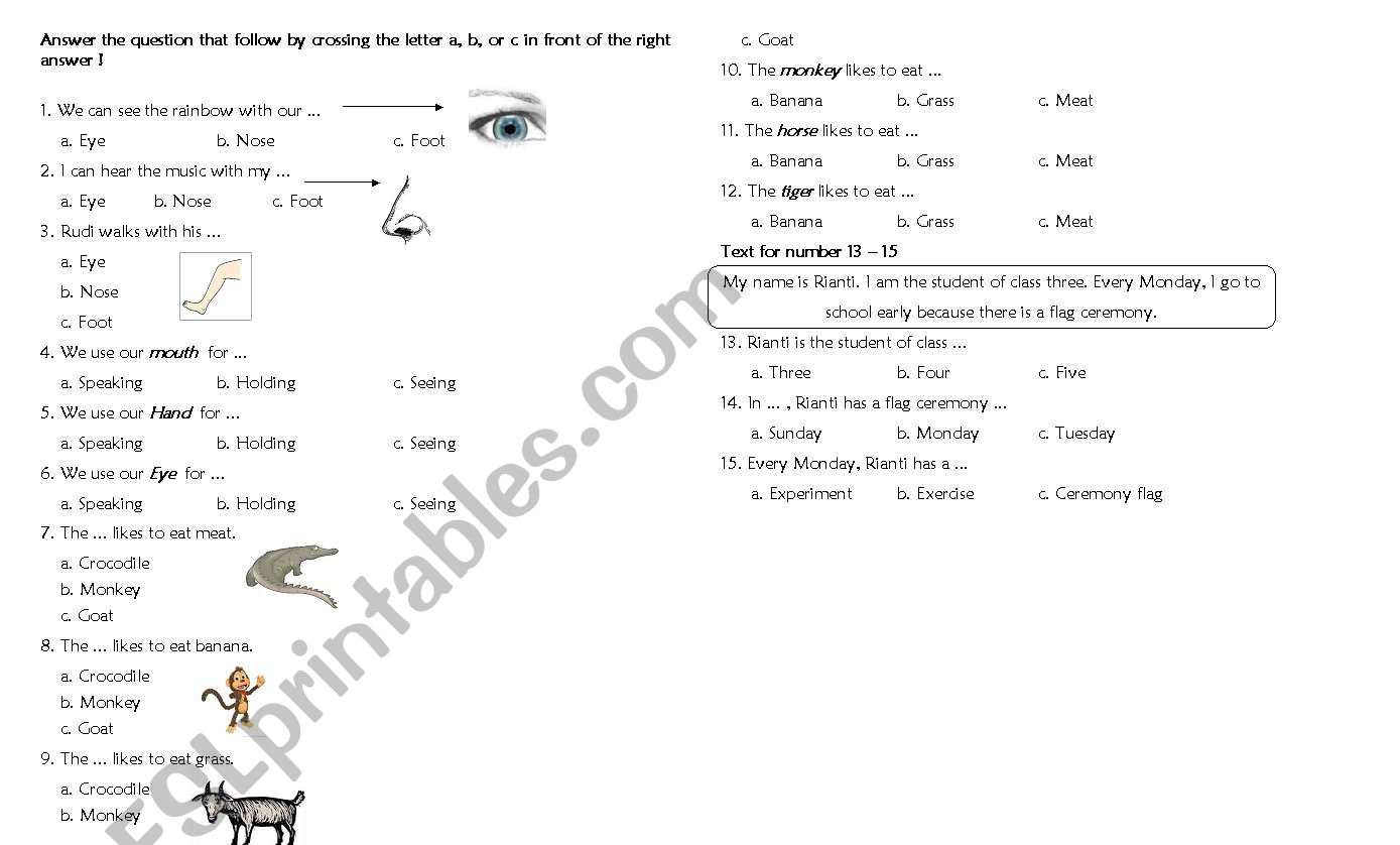 animals and parts of body worksheet