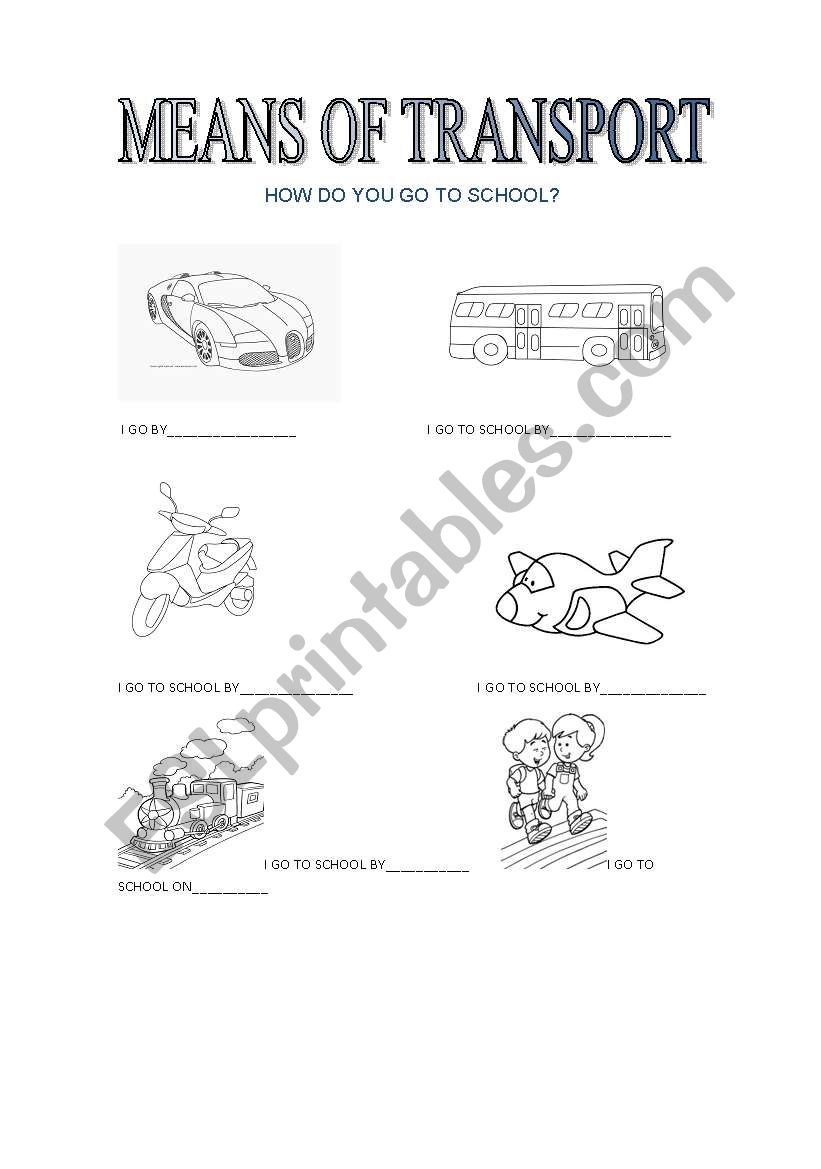 TRANSPORTS worksheet