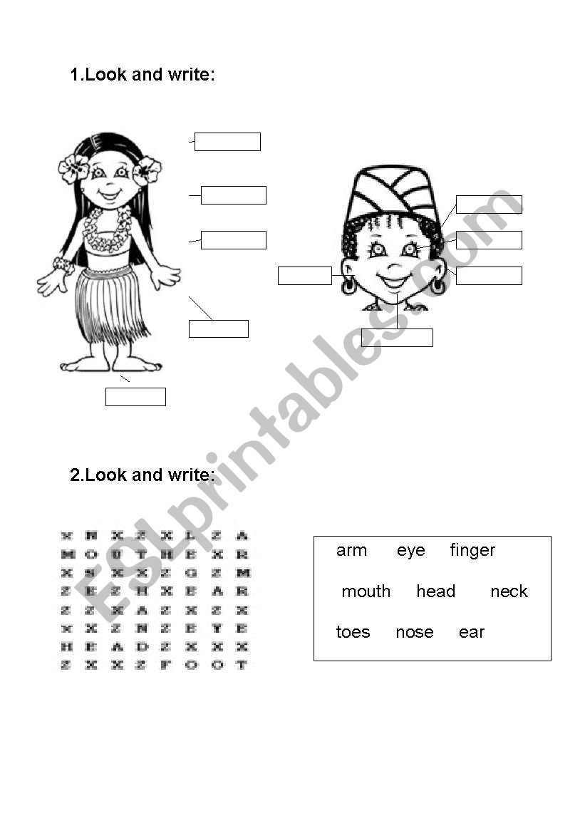 BODY PARTS worksheet