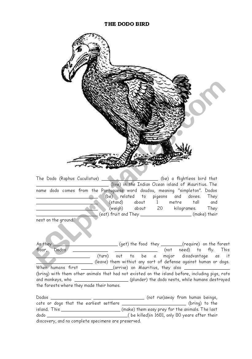 the Dodo bird worksheet