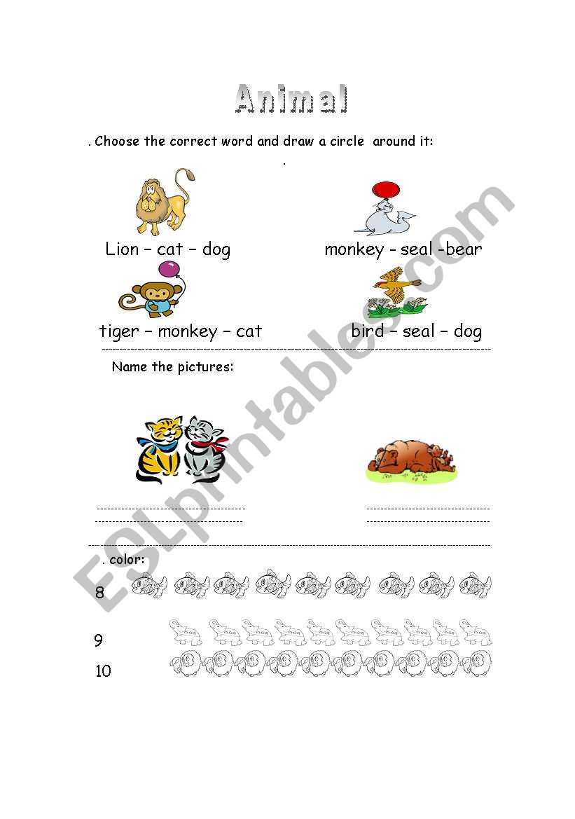 Animals worksheet