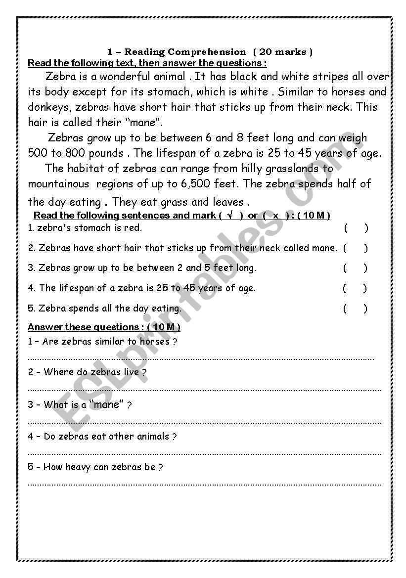 zebra worksheet