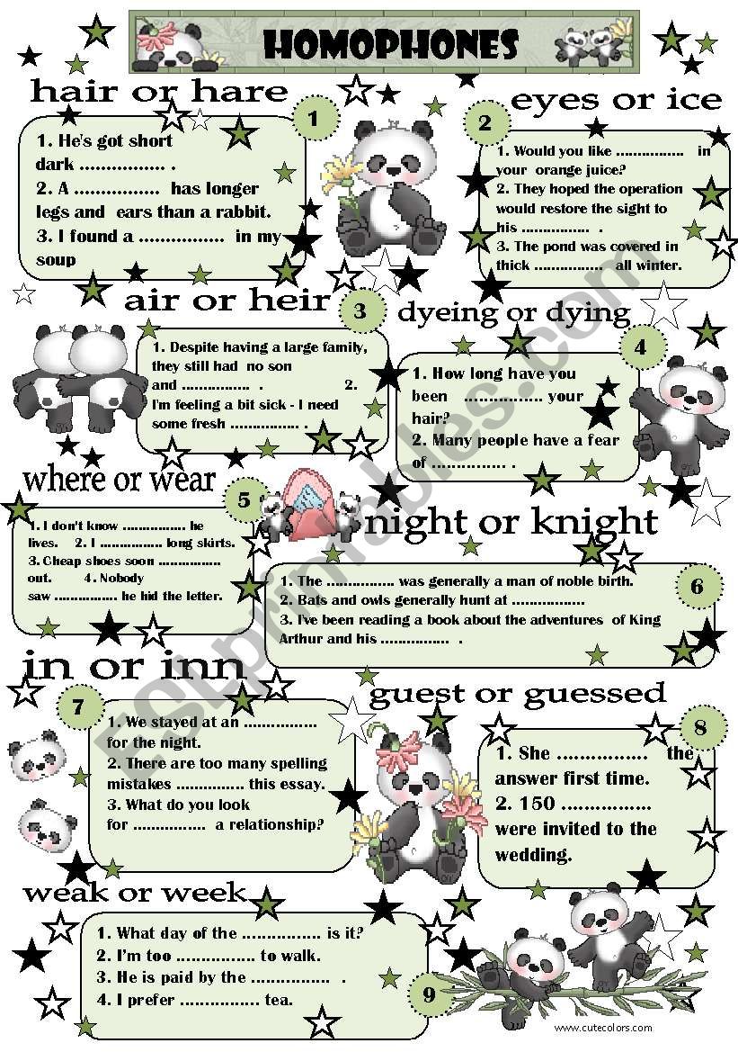 HOMOPHONES worksheet