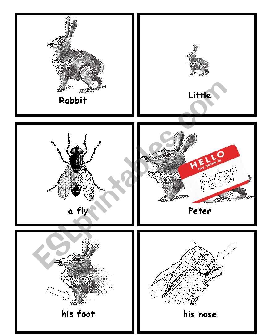 Little Peter Rabbit Flashcards