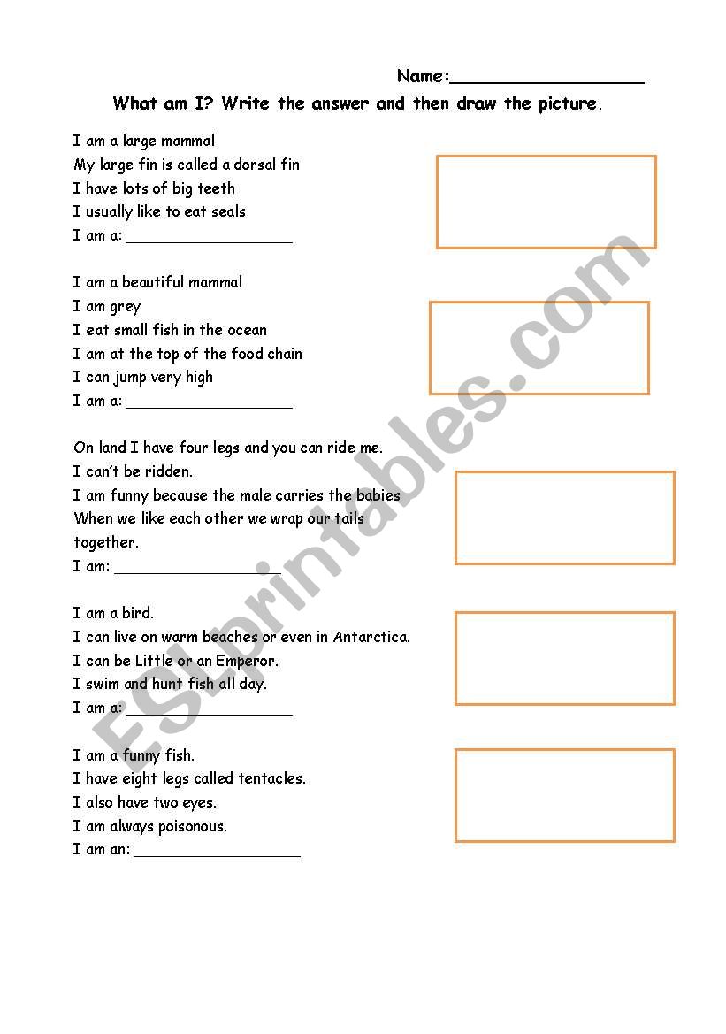 What am I? Sea Creatures worksheet