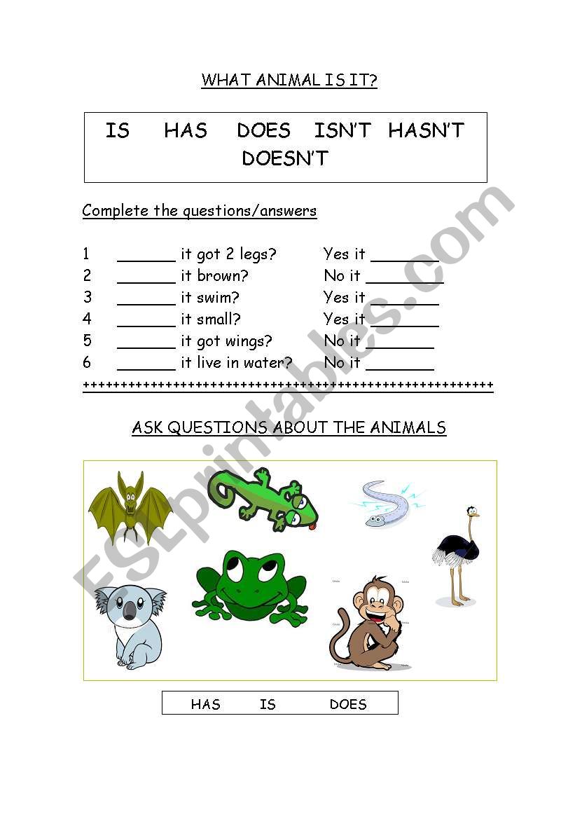 Animal questions. worksheet