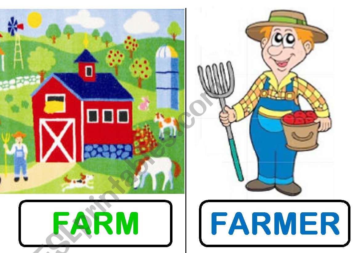 THE FARM worksheet