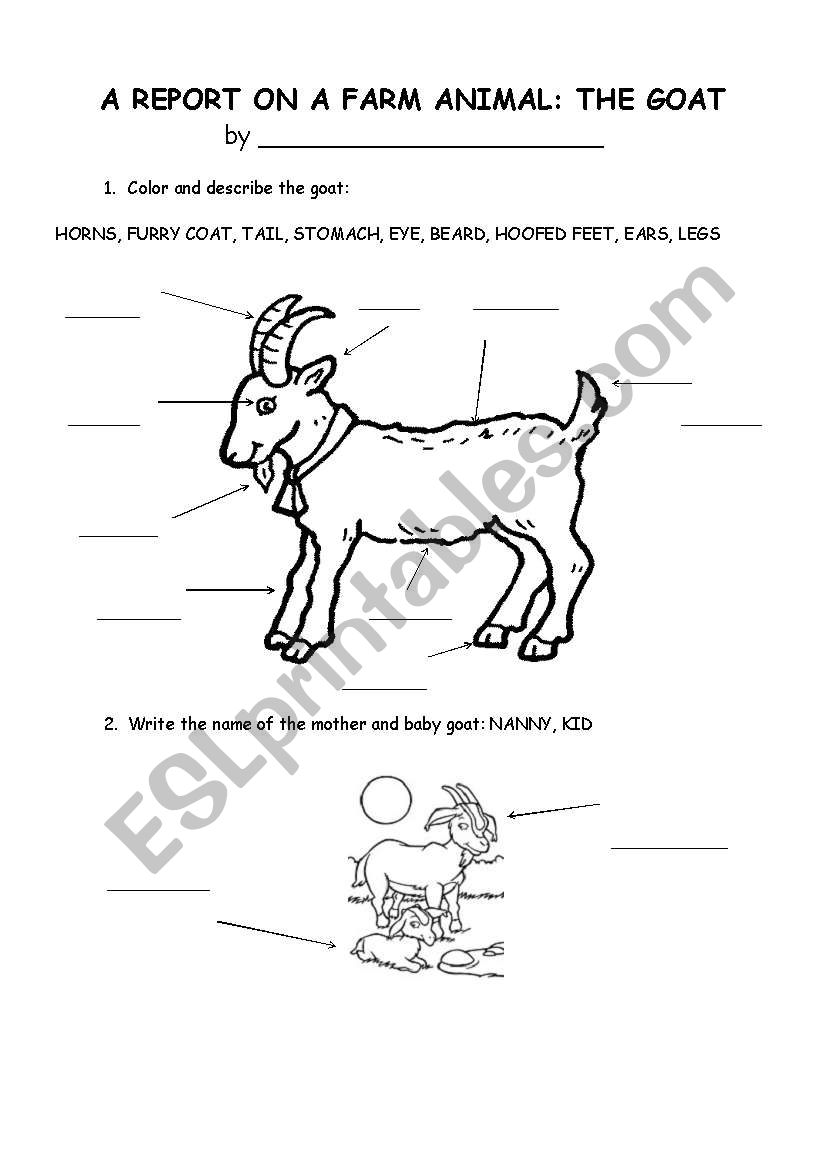 The Goat 1 worksheet