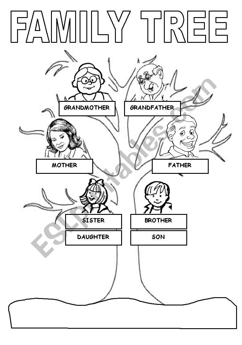 family tree worksheet