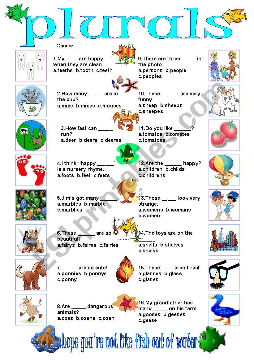 plurals worksheet