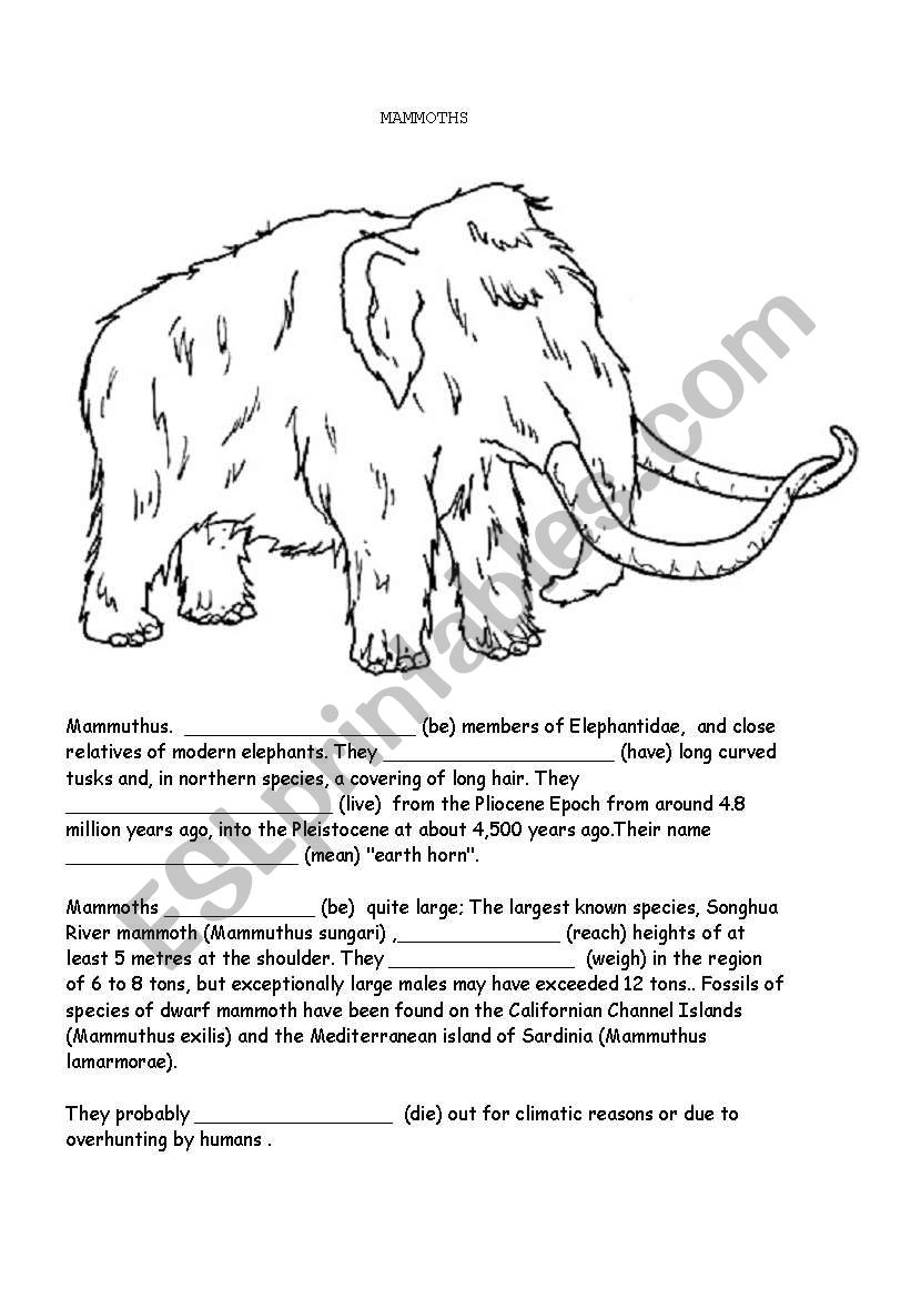 the Mammoth and the Saber toothed cat