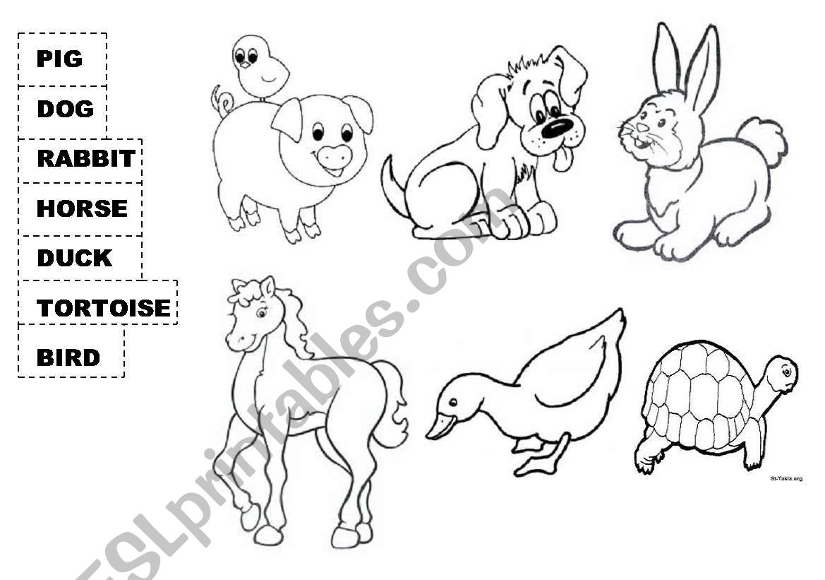 Pets worksheet