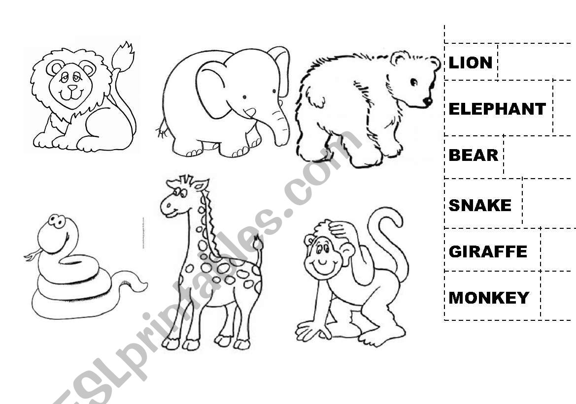 Wild animals worksheet