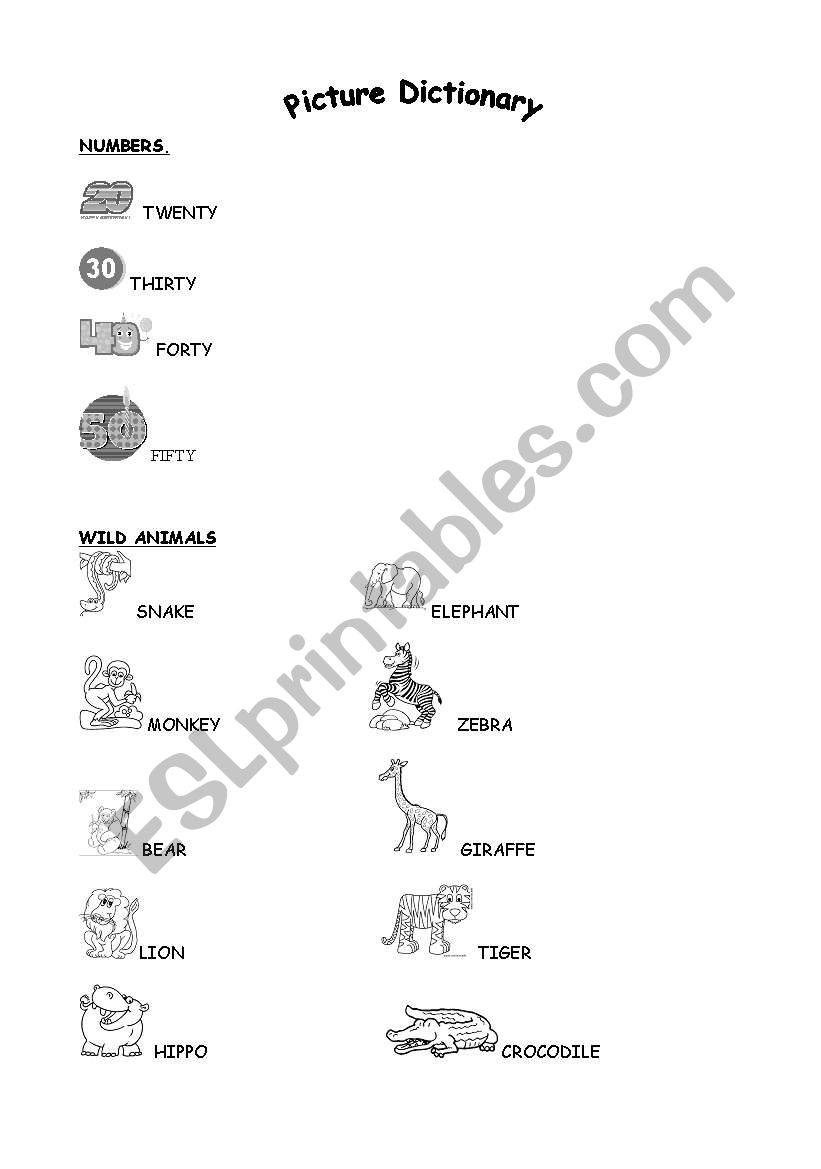 VOCABULARY worksheet