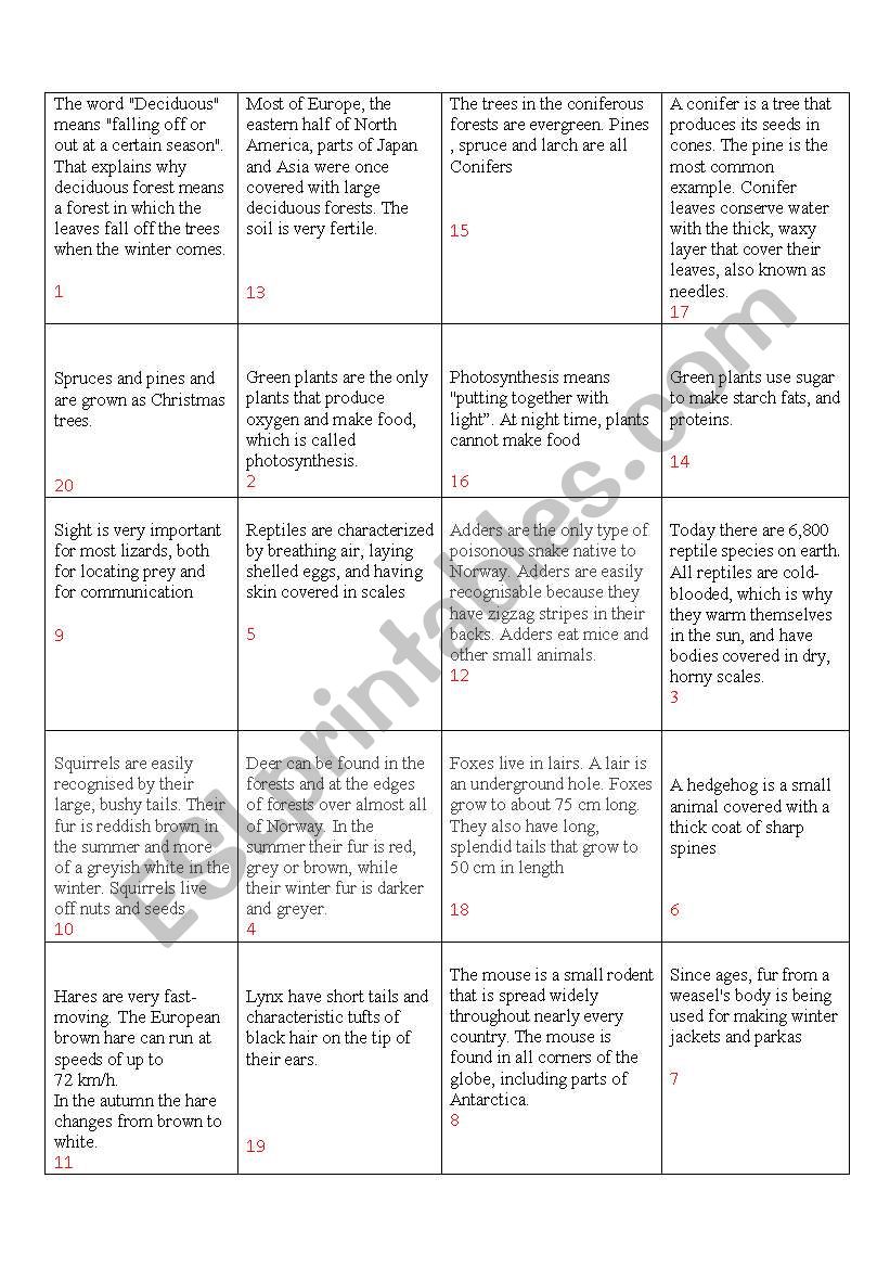 In the forest worksheet