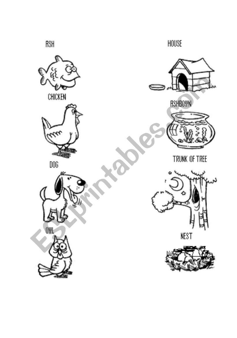 Animals and Homes worksheet