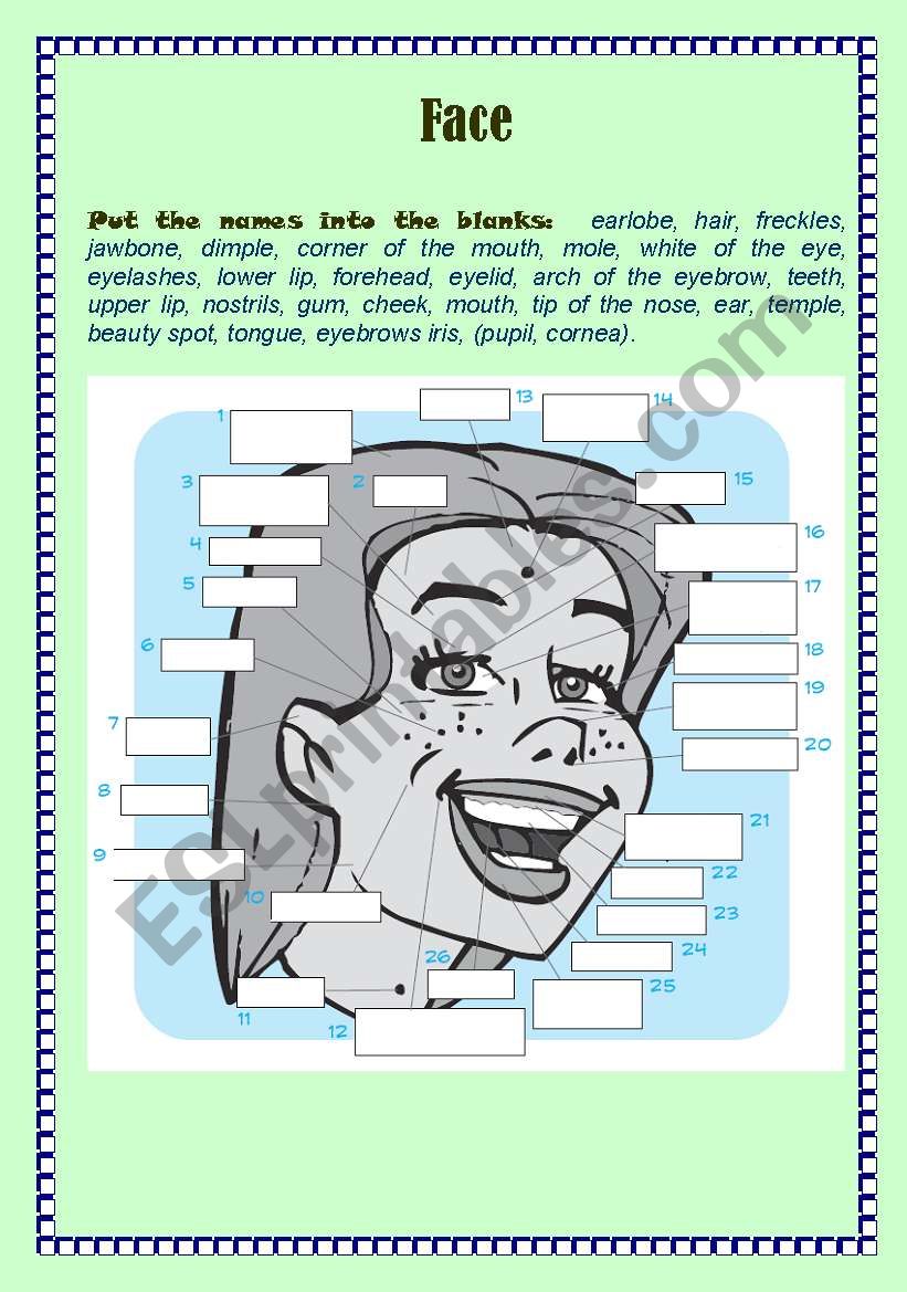 Face Features (with Keys) worksheet